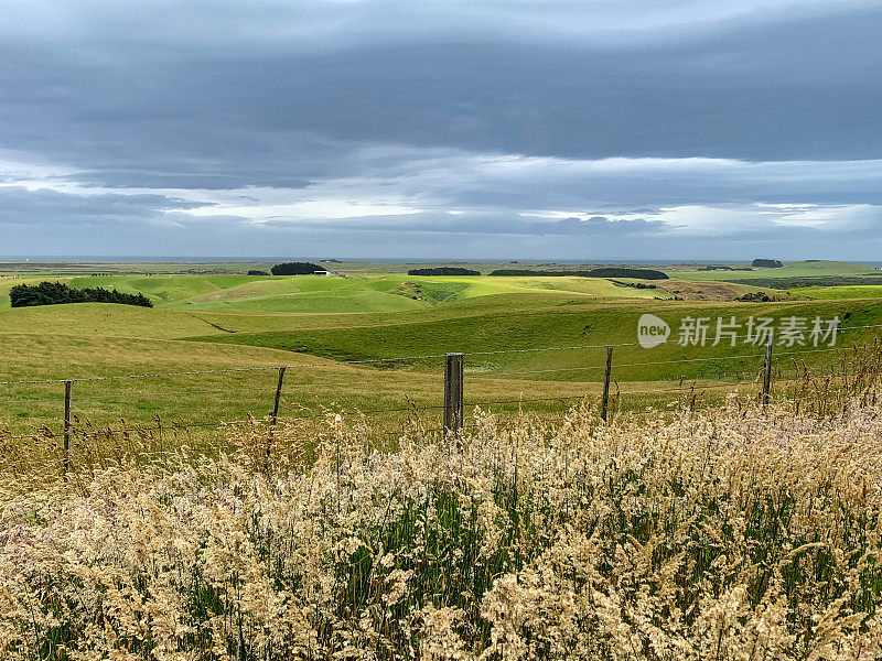 Waipapa Point灯塔，Otara，新西兰